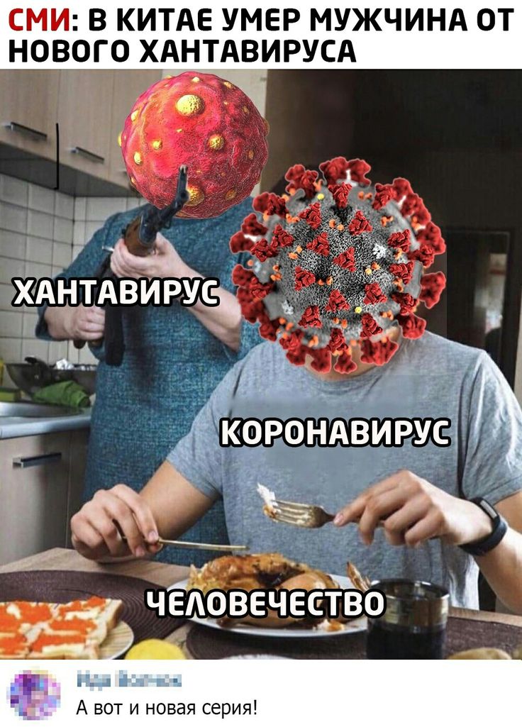 Мем 1 про хантавирус йоу